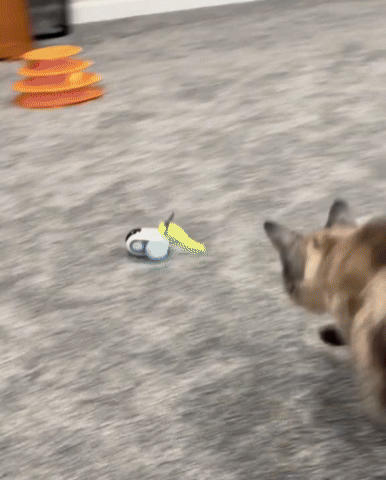 turbo tail remote control cat toy 03