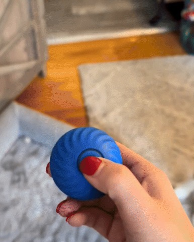 vibrating dog ball toy