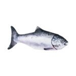 PetGravity Dancing Fish Dog Toy - Image 7