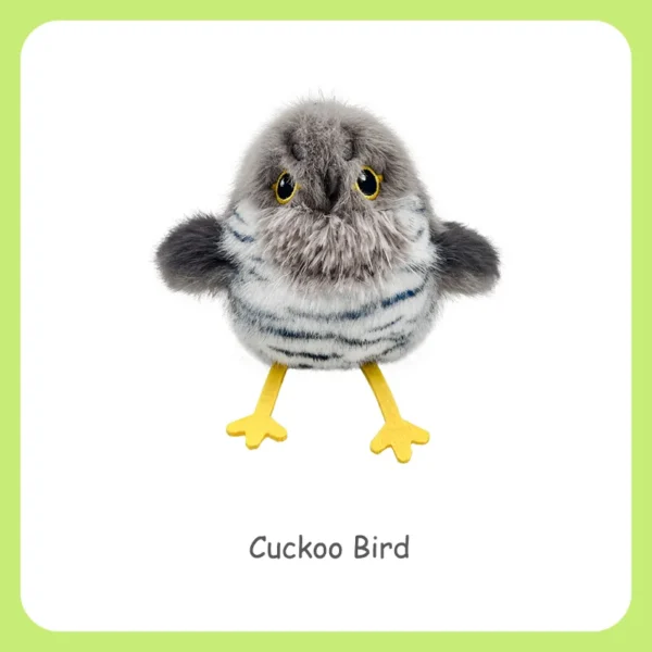 Cuckoo Bird cat toy