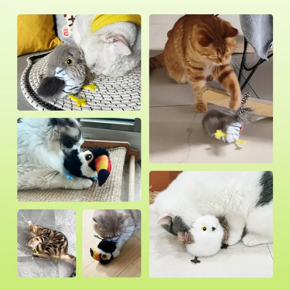 petgravity flying bird cat toy 01