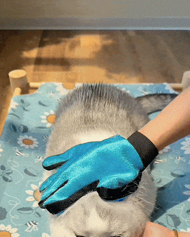2 Dual-Sided Pet Grooming Gloves (1 Pair)
