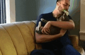 Why Do Cats Lick Me? Is It Because They Love Me That Much?